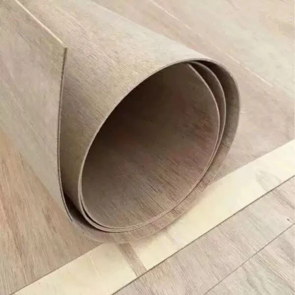 _20241231140558